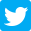 cgscoaching-Twitter